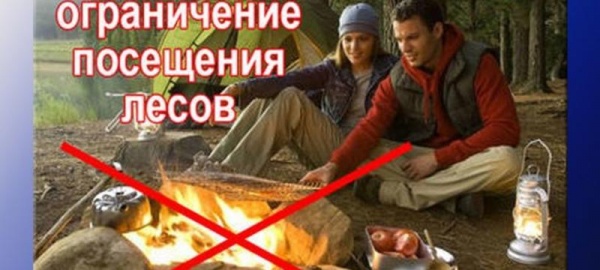 Внимание!!! Ограничено пребывание граждан в лесах