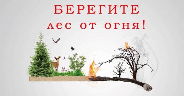 ​В лесах Республики Крым начинается подготовка к пожароопасному сезону 2022 года