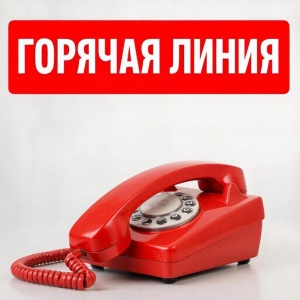 «Горячая линия» по защите прав потребителей туристических услуг