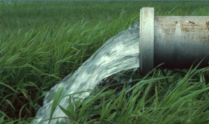 Запасы пресной воды в Крыму в три раза превышают потребности полуострова