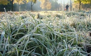 На полуостров идут заморозки