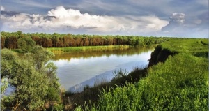 Переброску воду из Кубани в Крым признали экономически невыгодной