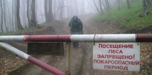 Крымские леса до конца сентября закрыли для посещения