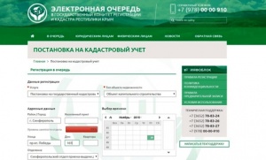 Предварительная электронная запись в Госкомрегистр откроется 30 декабря