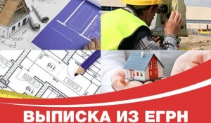 С 2017 года заявители вместо кадастрового паспорта получают выписку из реестра недвижимости