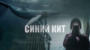 Группы смерти продолжают охоту на детей. Что нужно делать
