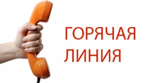 В России открыли "горячую линию" для жалоб на высокие цены