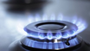 Управляющие организации обяжут следить за газовым оборудованием в квартирах