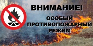 Внимание, соблюдайте правила пожарной безопасности в леса