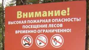 Внимание!!! Ограничено пребывание граждан в лесах