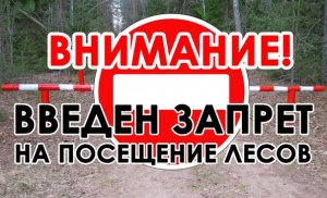Внимание!!! Ограничено пребывание граждан в лесах