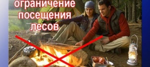 Внимание!!! Ограничено пребывание граждан в лесах
