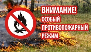 Внимание!!! Ограничено пребывание граждан в лесах